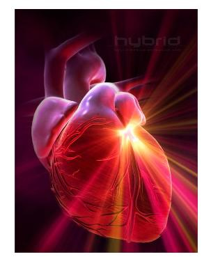  Erase una vez el Cuerpo Humano: El Corazón